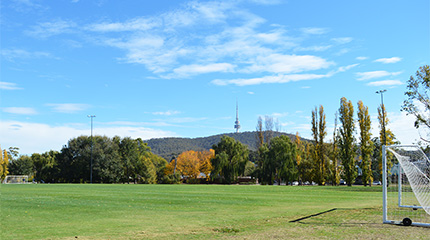 Image of field with black mountain in background