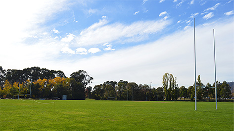 Image of oval